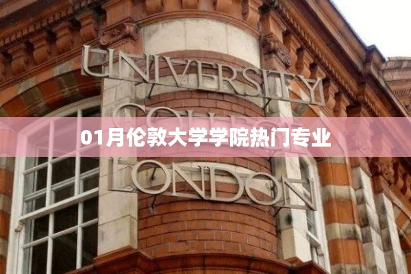伦敦大学学院热门专业榜单(最新一月版)