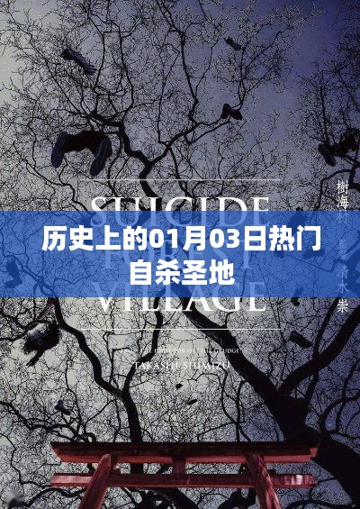 历史上的自杀圣地揭秘,一月三日热门事件回顾