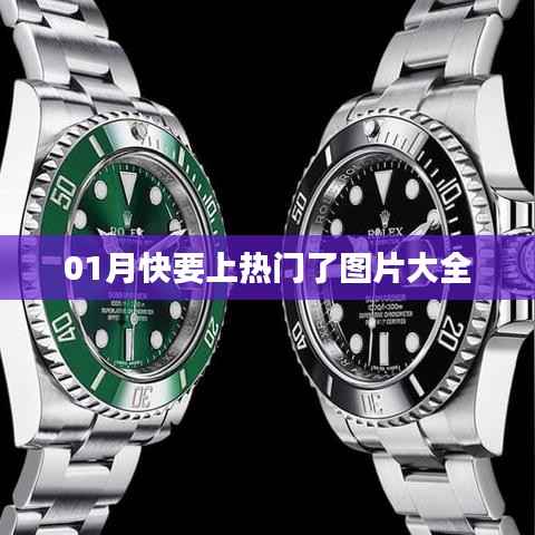 最新热门图片预览,一月精彩瞬间汇集