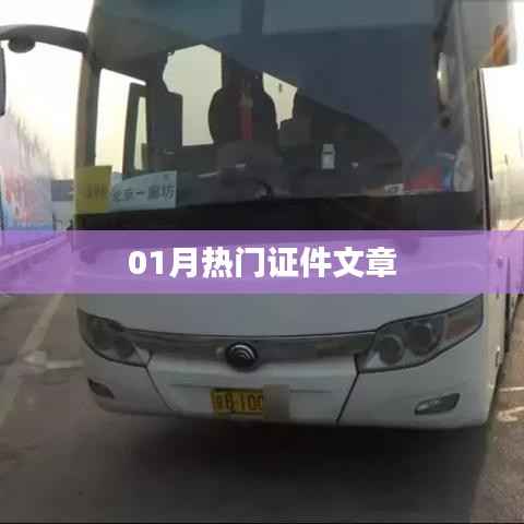 最新证件资讯大盘点,一月热门证件文章解读