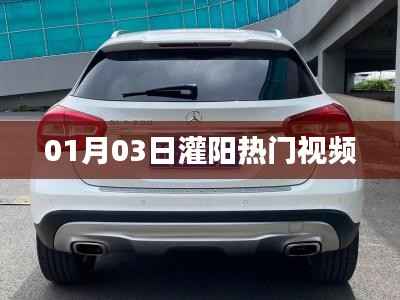 灌阳热门视频精选,01月03日独家呈现