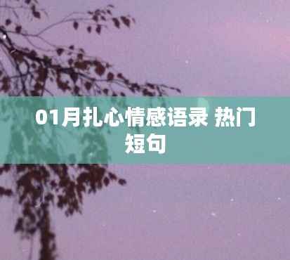 精选扎心情感语录,热门短句触动心灵瞬间