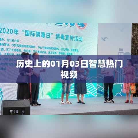 历史上的智慧热门视频,一月三日回顾