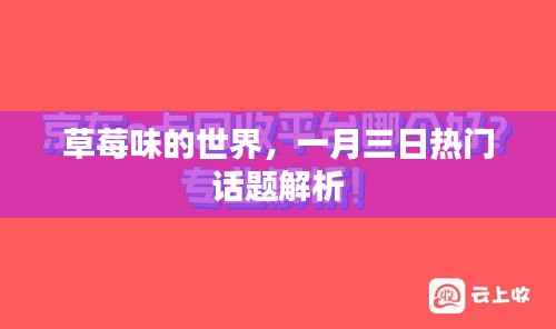 草莓味的世界,一月三日话题热议解析