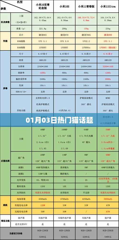 猫话题热议,一月三日最新动态