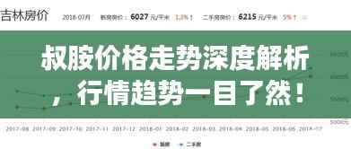 叔胺价格走势深度解析,行情趋势一目了然!