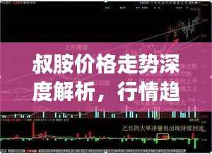 叔胺价格走势深度解析,行情趋势一目了然!