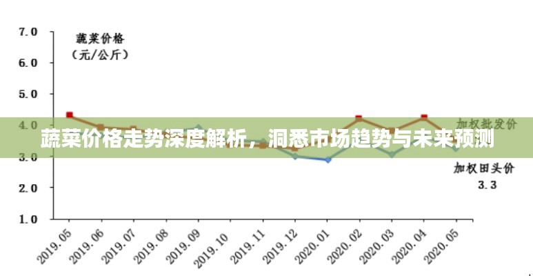 蔬菜价格走势深度解析,洞悉市场趋势与未来预测