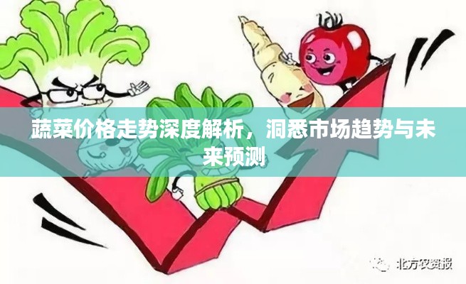 蔬菜价格走势深度解析,洞悉市场趋势与未来预测