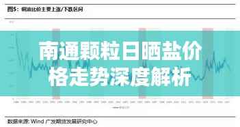 南通颗粒日晒盐价格走势深度解析