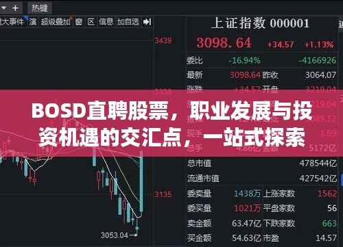BOSD直聘股票,职业发展与投资机遇的交汇点,一站式探索平台!