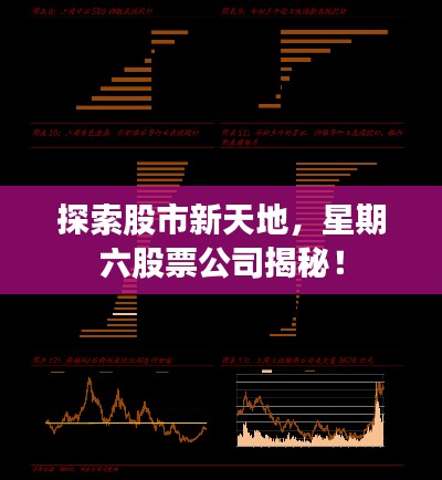 探索股市新天地,星期六股票公司揭秘!