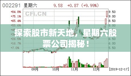 探索股市新天地,星期六股票公司揭秘!