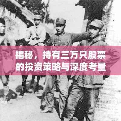 揭秘,持有三万只股票的投资策略与深度考量