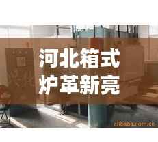 河北箱式炉革新亮相,技术与高效应用的完美融合