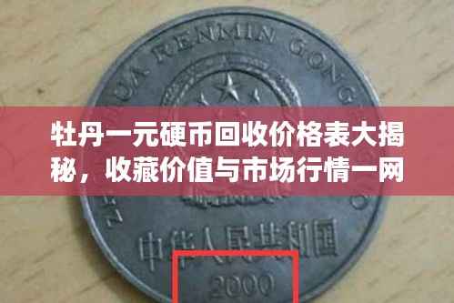 牡丹一元硬币回收价格表大揭秘,收藏价值与市场行情一网打尽