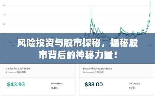 风险投资与股市探秘,揭秘股市背后的神秘力量!