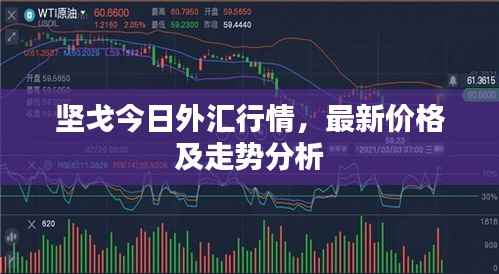 坚戈今日外汇行情,最新价格及走势分析