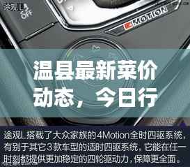 温县最新菜价动态,今日行情全面解读!