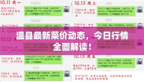 温县最新菜价动态,今日行情全面解读!