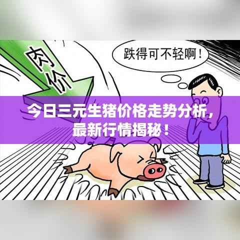 今日三元生猪价格走势分析,最新行情揭秘!