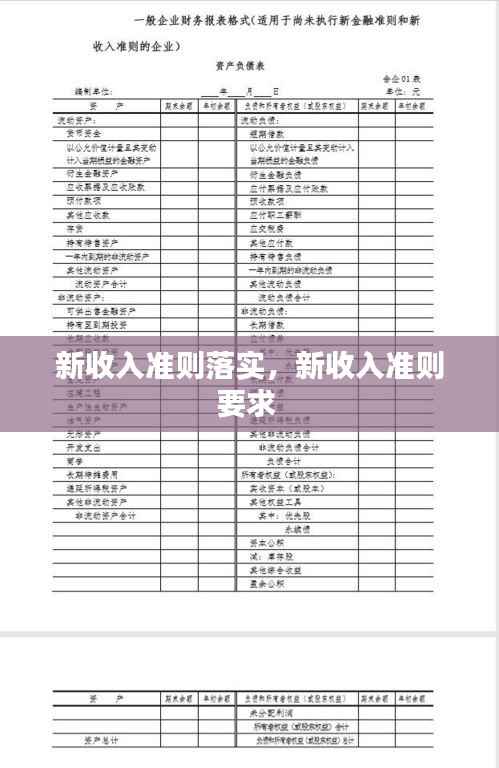新收入准则落实,新收入准则要求