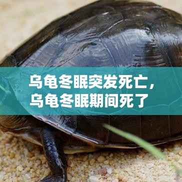 栖冲业简 第4页