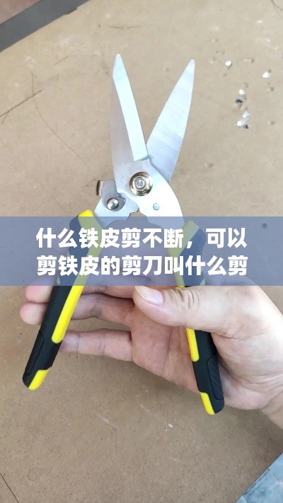 什么铁皮剪不断,可以剪铁皮的剪刀叫什么剪刀