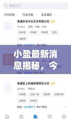 小盈最新消息揭秘,今日重磅更新!