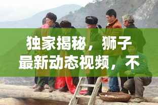 独家揭秘,狮子最新动态视频,不容错过!