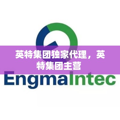 英特集团独家代理,英特集团主营