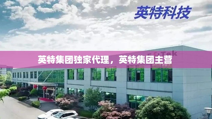 英特集团独家代理,英特集团主营