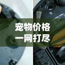 宠物价格一网打尽,全新途径了解宠物价格资讯