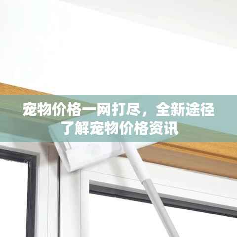 宠物价格一网打尽,全新途径了解宠物价格资讯