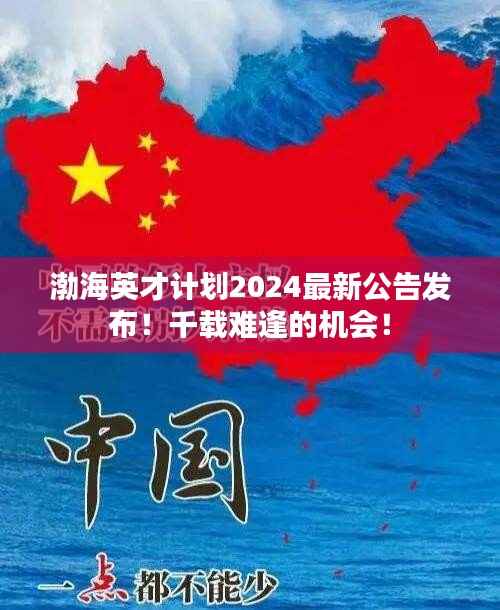 渤海英才计划2024最新公告发布！千载难逢的机会！