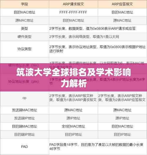 筑波大学全球排名及学术影响力解析