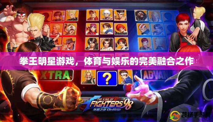 拳王明星游戏,体育与娱乐的完美融合之作