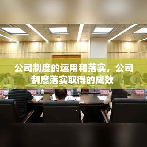 公司制度的运用和落实,公司制度落实取得的成效