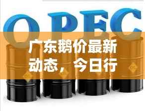 广东鹅价最新动态,今日行情分析与趋势预测