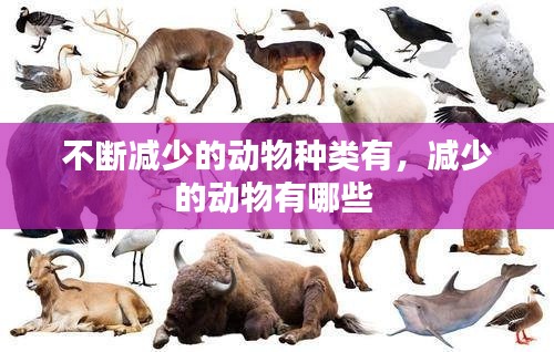 不断减少的动物种类有,减少的动物有哪些