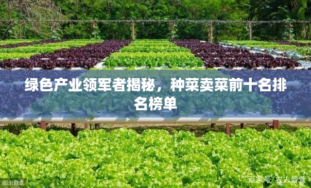 绿色产业领军者揭秘,种菜卖菜前十名排名榜单