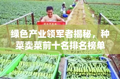 绿色产业领军者揭秘,种菜卖菜前十名排名榜单