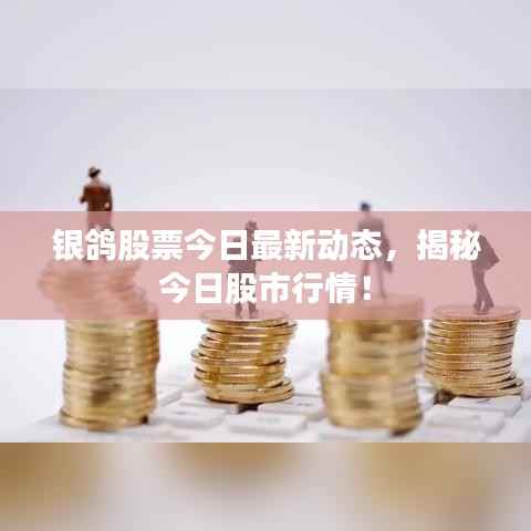 银鸽股票今日最新动态,揭秘今日股市行情!