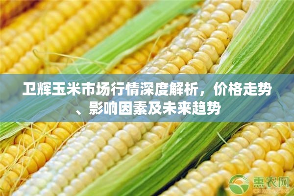 卫辉玉米市场行情深度解析,价格走势、影响因素及未来趋势