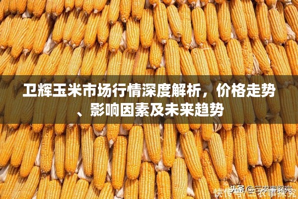 卫辉玉米市场行情深度解析,价格走势、影响因素及未来趋势