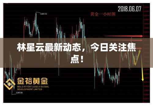 林星云最新动态,今日关注焦点!