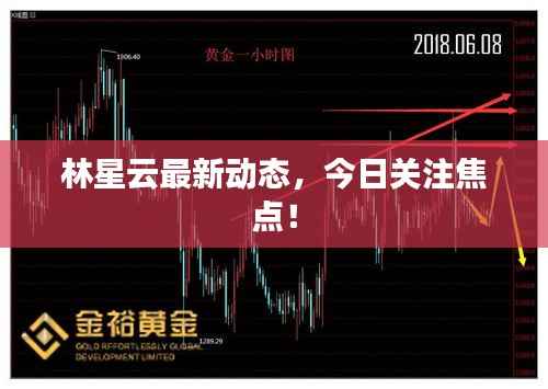 林星云最新动态,今日关注焦点!