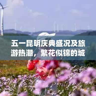 五一昆明庆典盛况及旅游热潮,繁花似锦的城市新闻头条