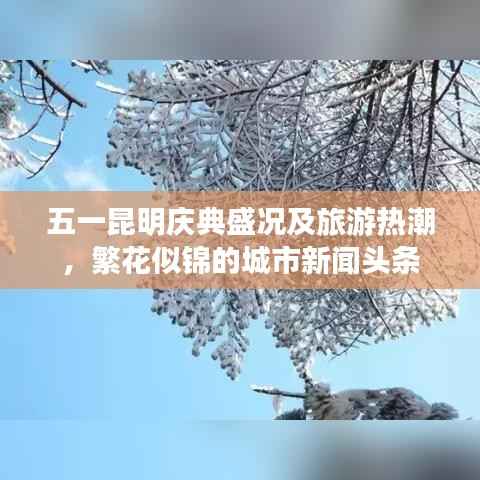 五一昆明庆典盛况及旅游热潮,繁花似锦的城市新闻头条