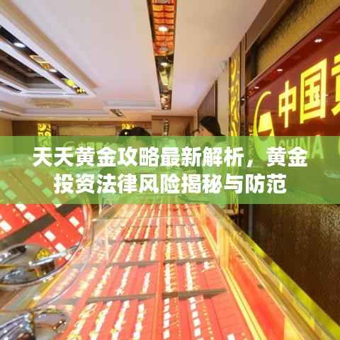 天天黄金攻略最新解析,黄金投资法律风险揭秘与防范